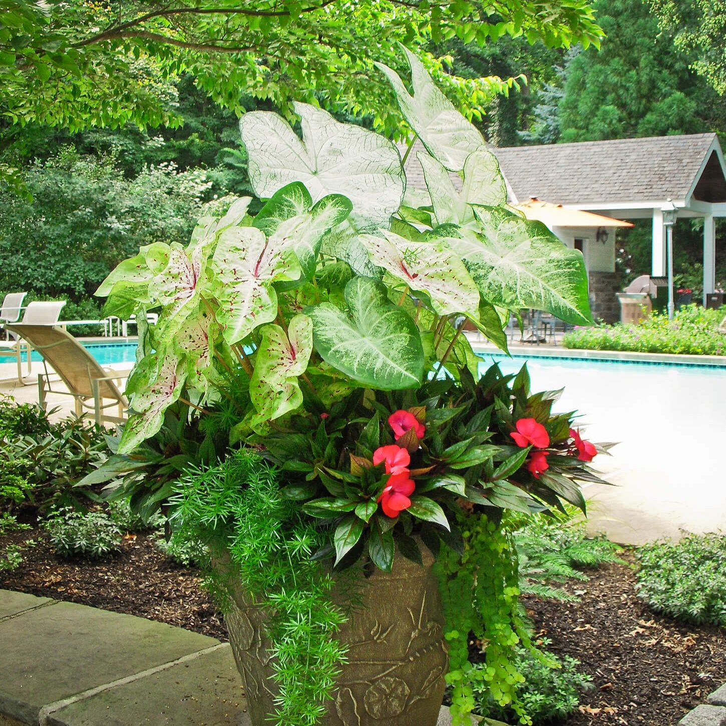 Abington, PA Landscaping Services